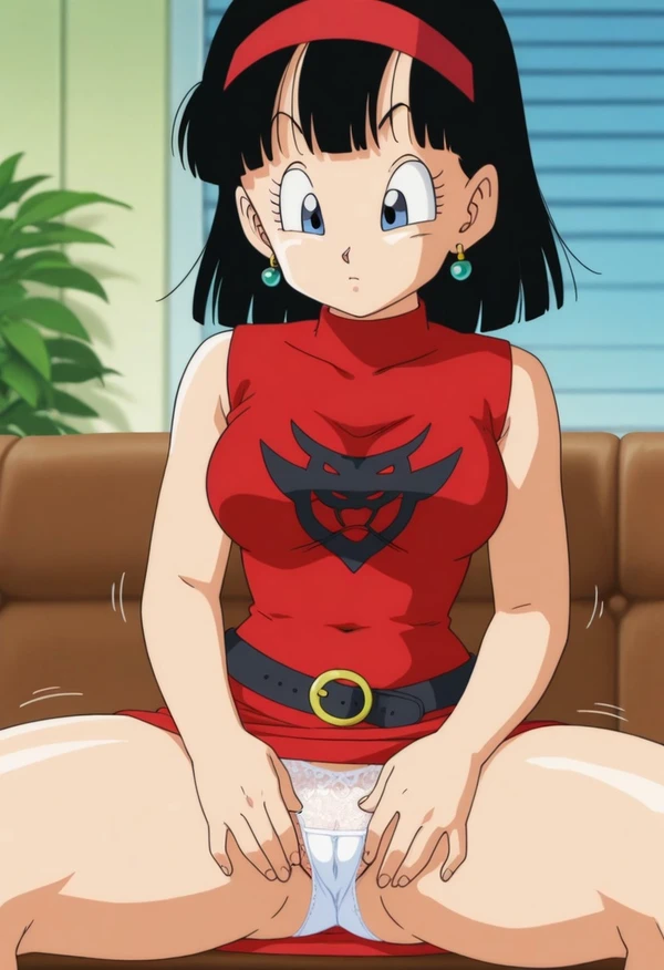 Videl super（11/20）