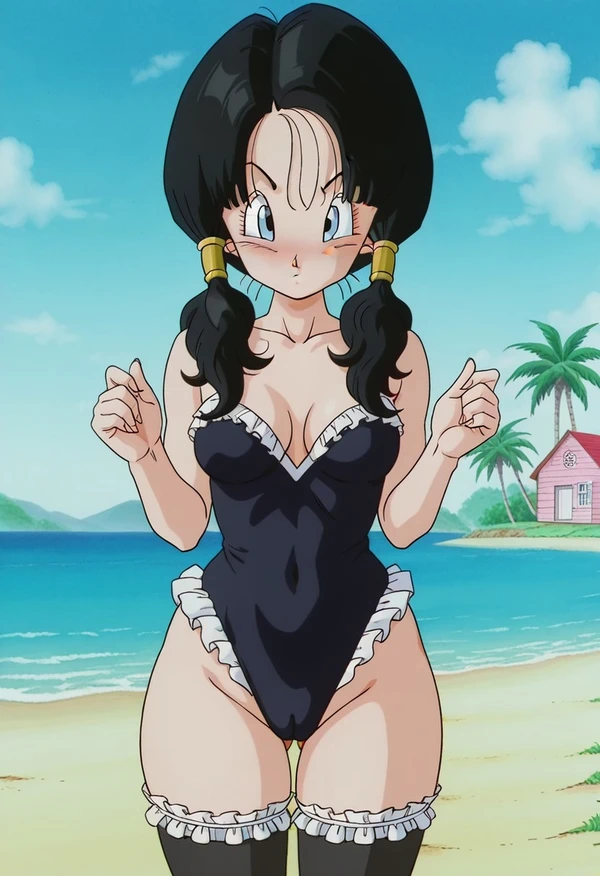 Videl new training（10/17）