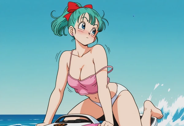 Bulma's summertime（2/9）