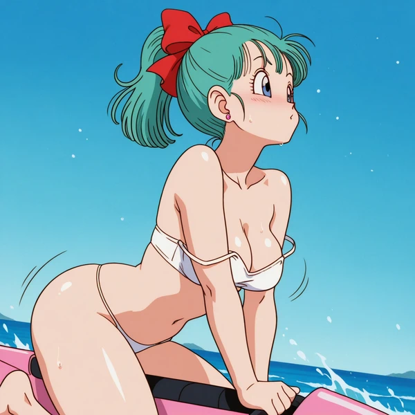 Bulma's summertime（4/13）