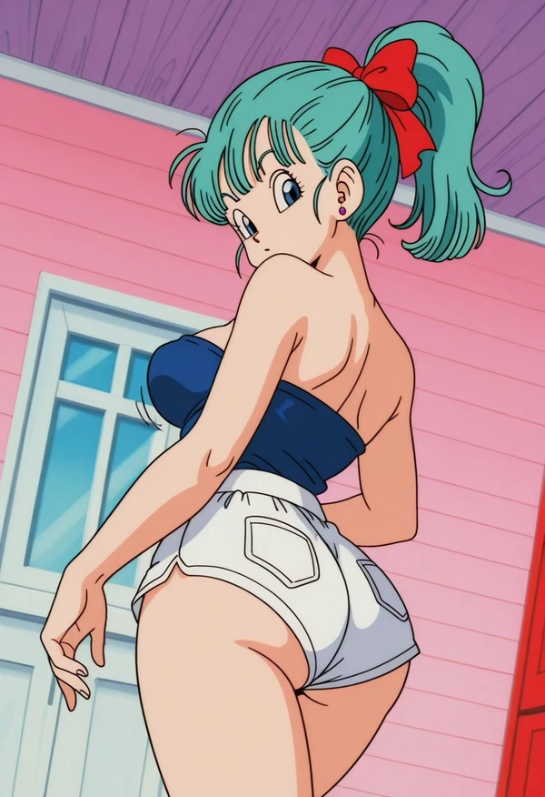 Sleeping Bulma（6/14）