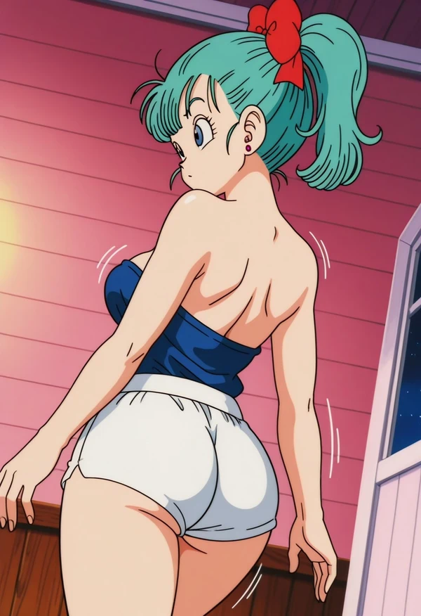 Sleeping Bulma（7/14）