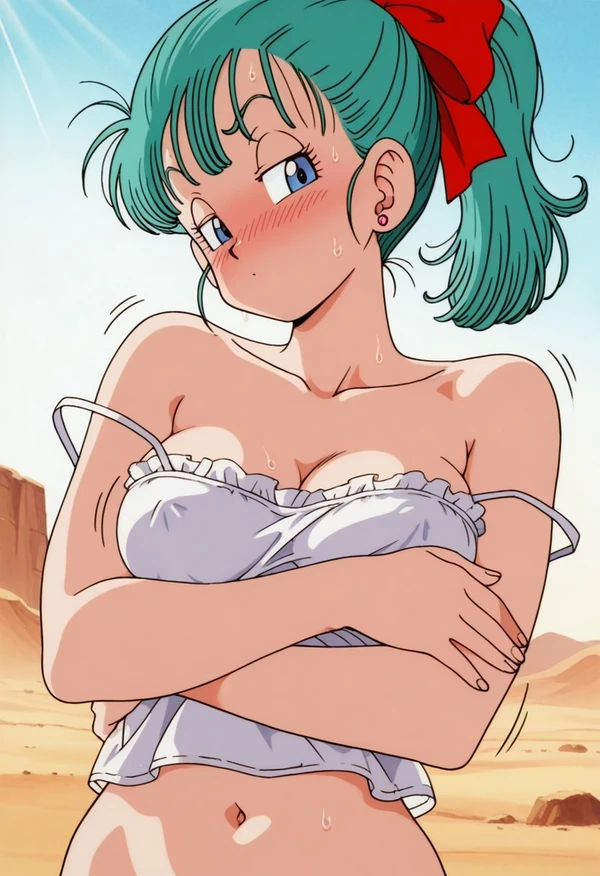 Bulma's translucent clothes（7/10）